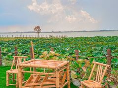 -七的湖·晚芳亭·阳澄湖农家菜·大闸蟹(莲花岛店)