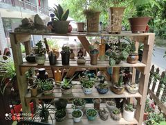 -国生茶庄·地道农家菜团建活动