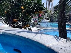 -济州山房山碳酸温泉