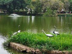 -人民公园(罗湖区)