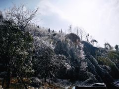 -九华山风景区