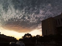 -上海海事大学(临港校区)