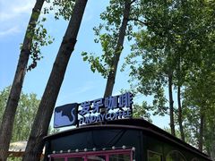 -合肥滨湖国家森林公园
