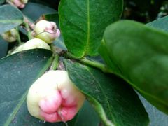 -南通洲际绿博园