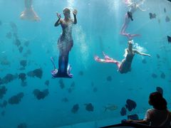 -瑞德姆美人鱼海底演艺主题餐厅(亚龙湾店)