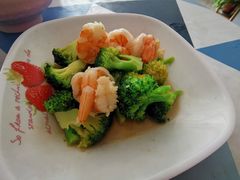 -金贝儿月嫂(高新尚品国际店)