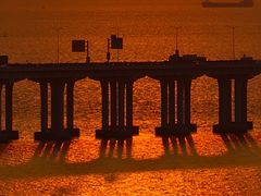 -宝安西湾红树林湿地公园