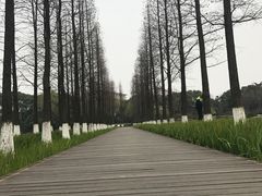 -圩墩遗址公园