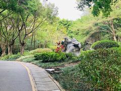 -深圳国际园林花卉博览园