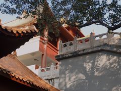 -深圳仙湖植物园