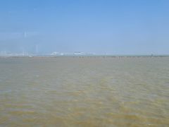 -澳门环岛游湾仔码头