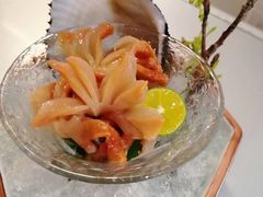 -KITON喜豚(清晖园店)