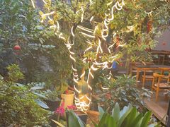 -海韵人家.海景花园经典云南菜(双廊店)
