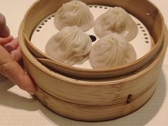 -金悦轩海鲜城(渔人码头店)