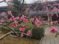 -关林