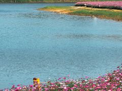 -黄山鲁森林公园