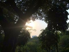 -晓港公园