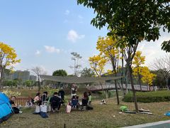 -王借岗森林公园