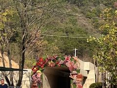 -木兰云雾山