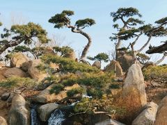 -罗红摄影艺术馆