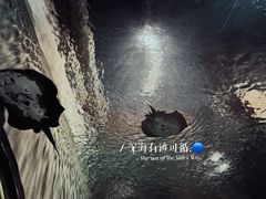-上海海洋水族馆