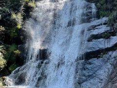 -大奇山国家森林公园