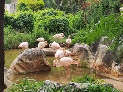 -昆明动物园