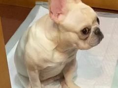 -福州肆爪动物医院