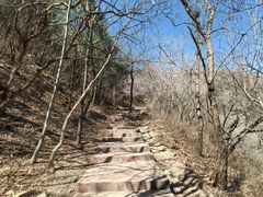 -北京西山国家森林公园