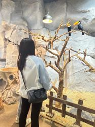 -Zoolung Zoolung动物主题公园(海信广场店)