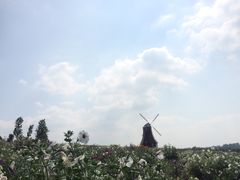 -紫颐香薰山谷景区