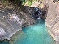 -广州白江湖森林公园