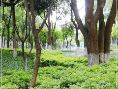 -重庆市江北嘴中央商务区中央公园