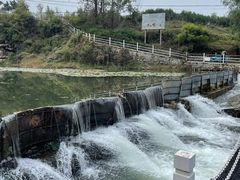 -紫海香堤香草艺术庄园