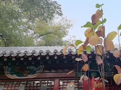 -程府宴-国宴(南长街·四合院店)