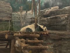 -鄂尔多斯野生动物园