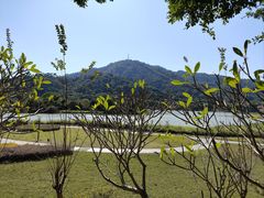 -风云岭森林公园