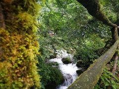 -西岭雪山大飞水景区