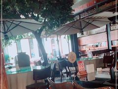 -三强鸽子(中原路店)
