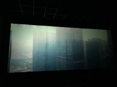 -保定金棕榈先天下国际影城(LUXE)