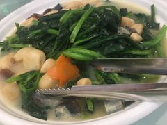 菠菜-青岛颐海花园酒店总店·自助餐厅