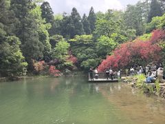-莫干山风景区