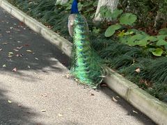 -金庭庄园酒店-停车场