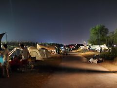 -春花秋色城市公园