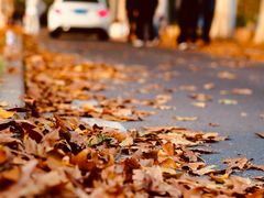 -河南省黄河迎宾馆