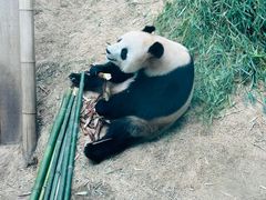 -大连森林动物园