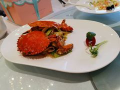 -沪碟·精菜坊(闵行店)