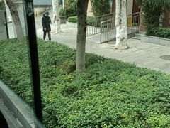 -弓虽昌焖烧鸡(大竹林店)