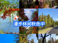 -习家池