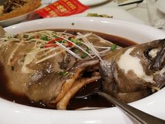 -金狮麟·新豫菜(金码大厦店)